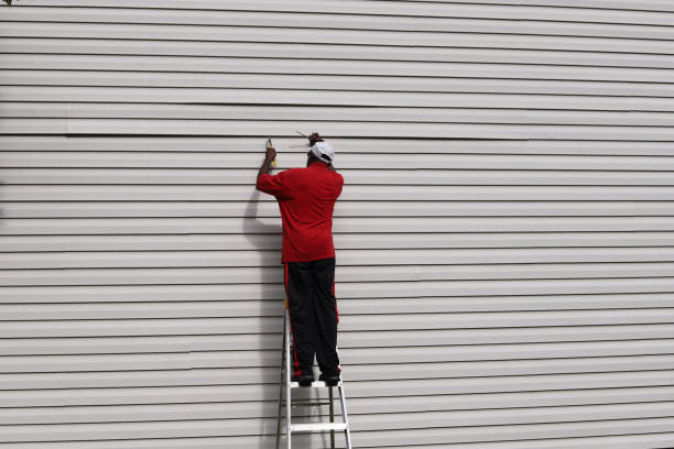 Best Historical Building Siding Restoration  in Ragland, AL